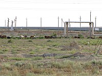 Aktau suburb