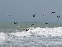 Caspian Sea