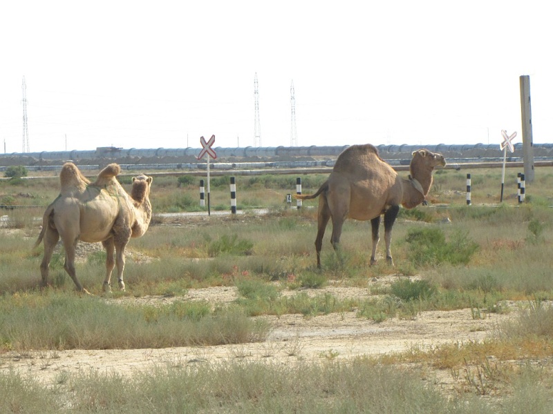 Aktau 9/2015