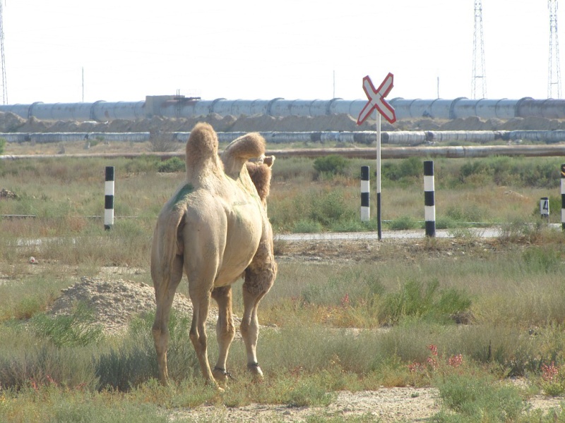 Aktau 9/2015