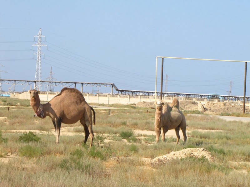 Aktau 9/2015