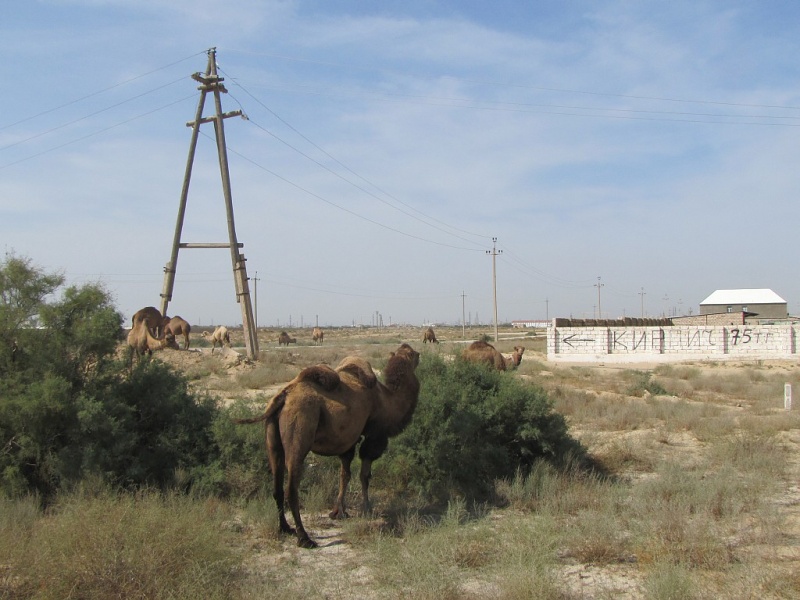 Aktau 9/2015