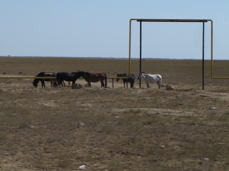 Aktau 9/2015