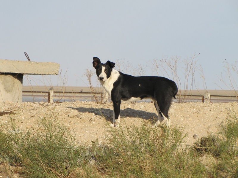 Aktau 9/2015