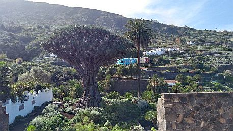 Tenerife